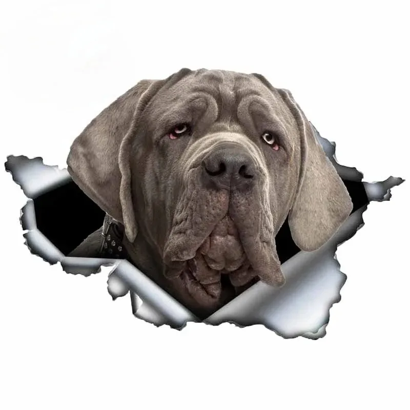 Car Sticker Dogue D…