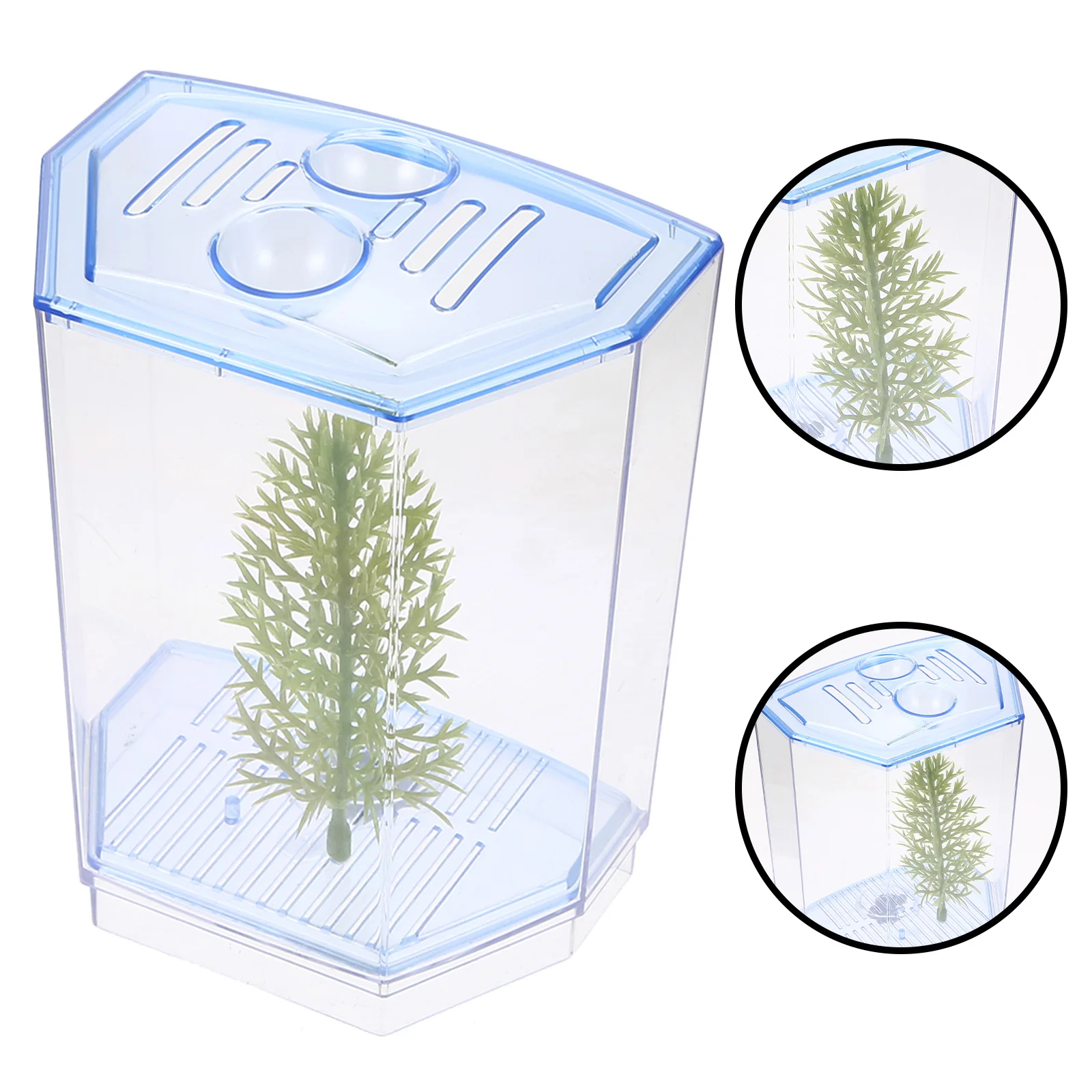 

For Home Office Desktop Aquarium Decoration, Small Plastic Fish Tank With Clear Design, Fish Breeding Incubation Tank,