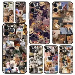 Luxury Phone Case For iPhone 16 15 14 11 Pro Max 13 12 XS X XR 7 8 Plus Black Cat Meme Funny Animals Cover Protect Funda
