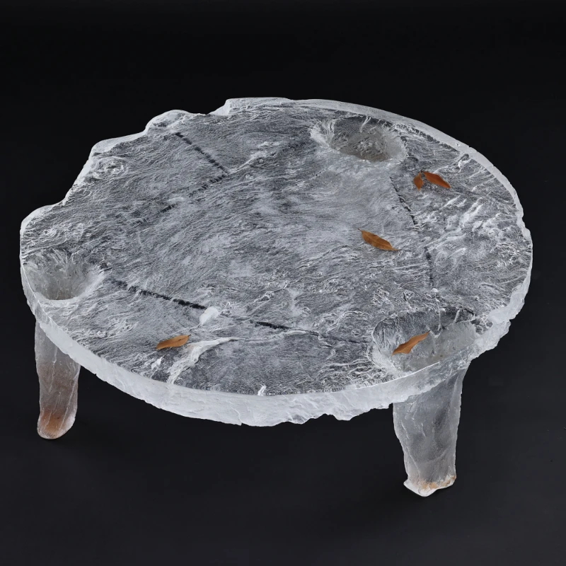 

High Quality Luxury Translucent Art Low Table Embedded, Real Dried Plant Acrylic (Non-Epoxy) Living Room Furniture