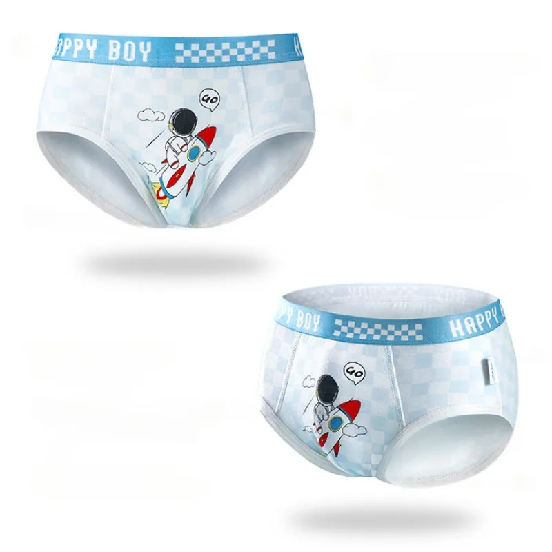 6PCS Kids Cotton Soft Antibacterial Briefs for Boy Thin Breathable Panties Cute Cartoon Print Knickers 3+y Young Child Underwear