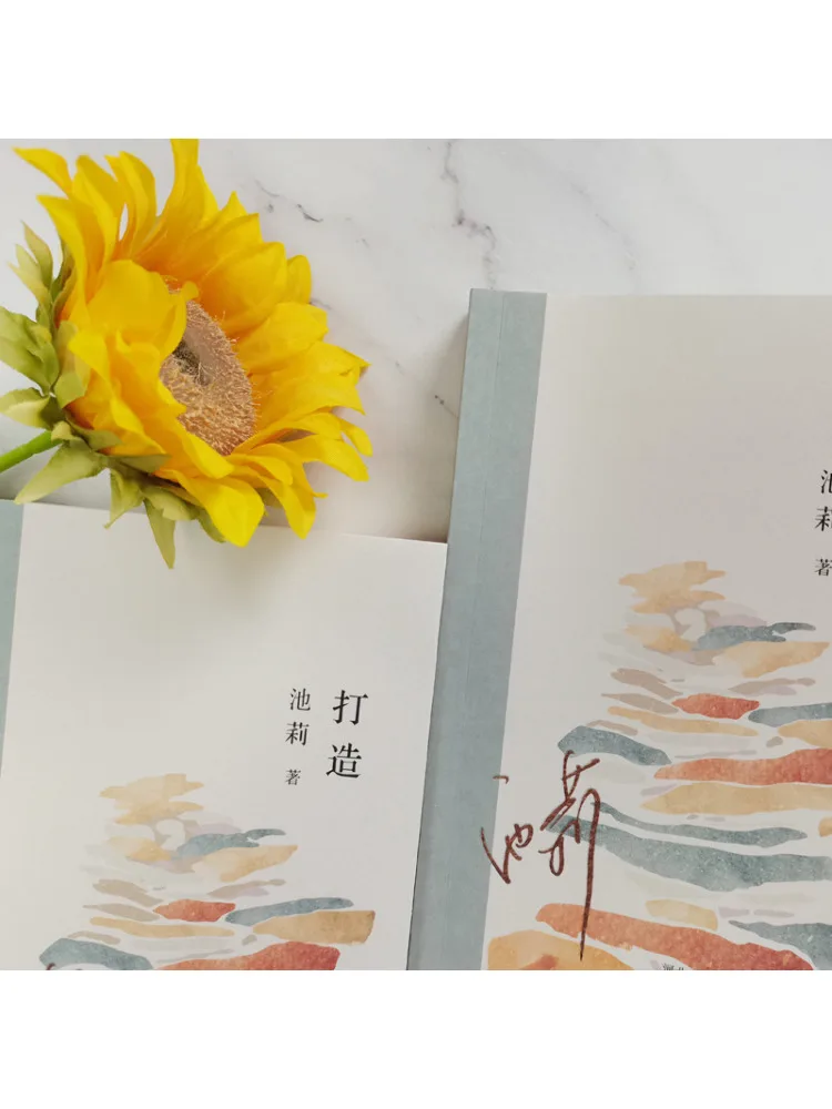 Il libro-Winshare crea