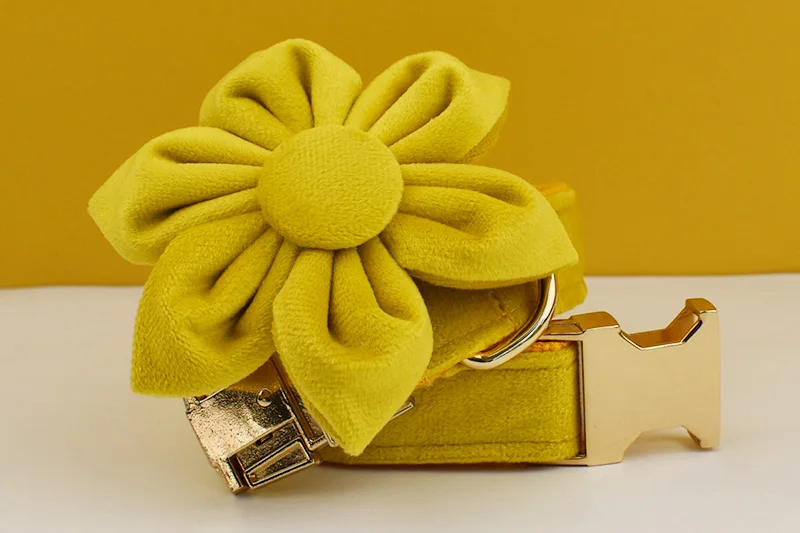 Gelbes Samt-Hundehalsband und Leinen-Set für kleine, mittelgroße und große Hunde, individuell graviertes Namensschild, Heimtierbedarf, Hundeleine, Velvet04 – Detail 7