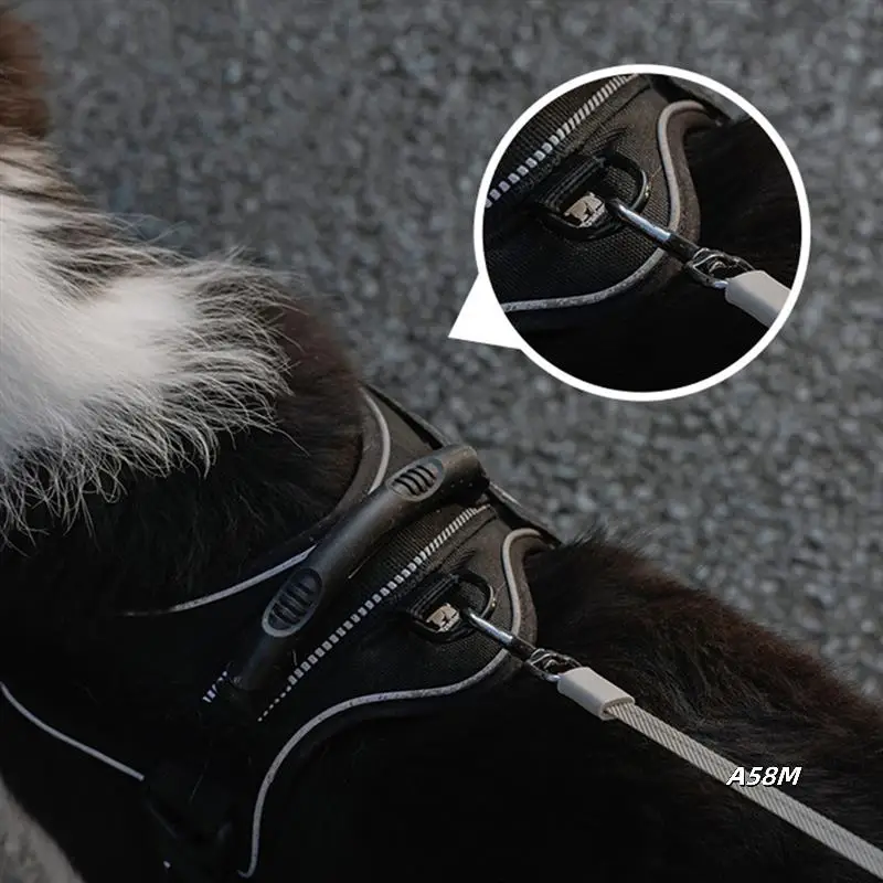

Pet Supplies Rope Support Lighting Type-C Charging SAFE TRAVEL For Walking Pet Outdoors Black