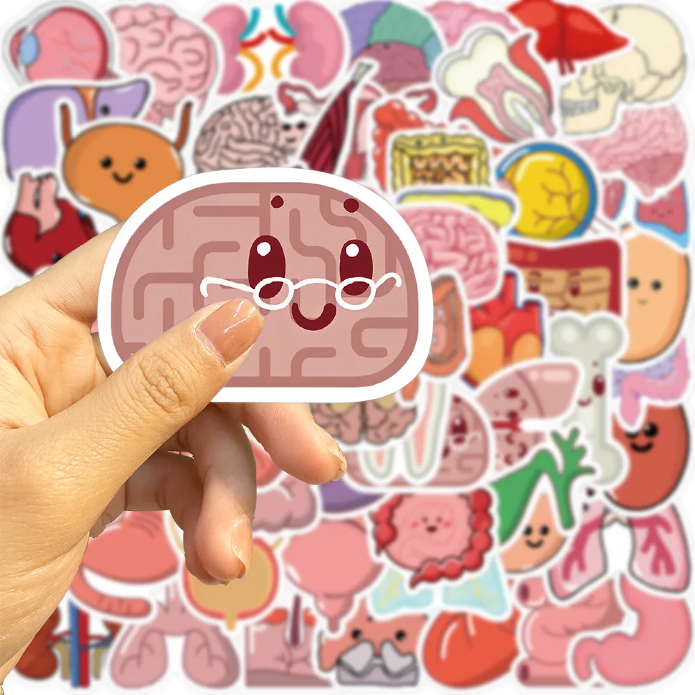 65Pcs Cartoon Body Organ Stickers, Waterproof Anatomy Decals for Kids, Water Bottles, Laptops, Luggage, Toys, Fun Learning Gift