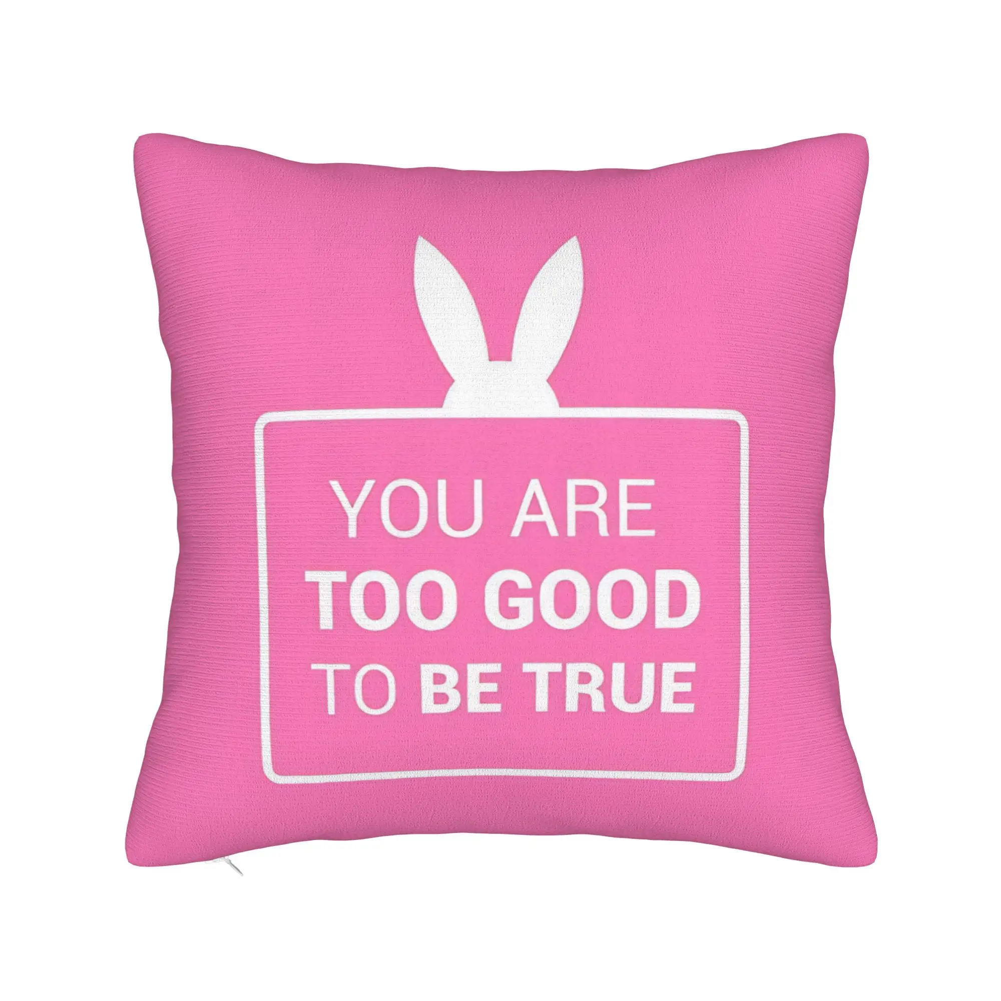Singer Arianas Grandes Pillow Cover  Comfy Cushion Cover Cute Funny Pillow Case For Living Room Chair