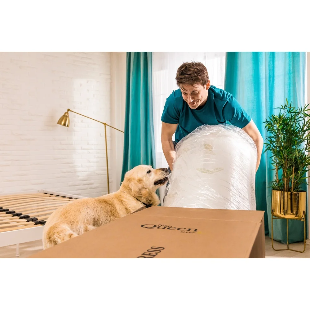 10 Inch Queen Memory Foam Mattress Green Tea Infusion Medium Firmness Bed In A Box Pressure Relief Breathable Hypoallergenic