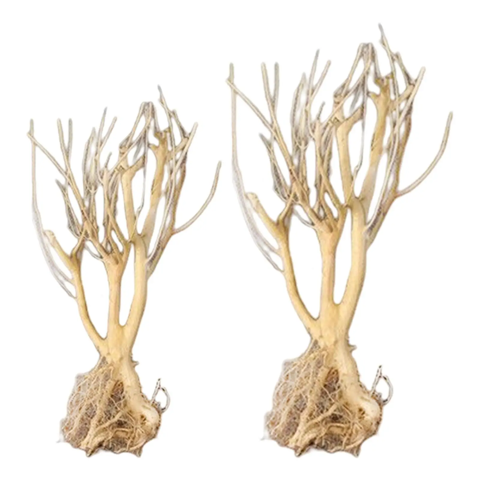 Aquatic Ecological Aquarium Driftwood Small Tree Habitat Decor Terrarium