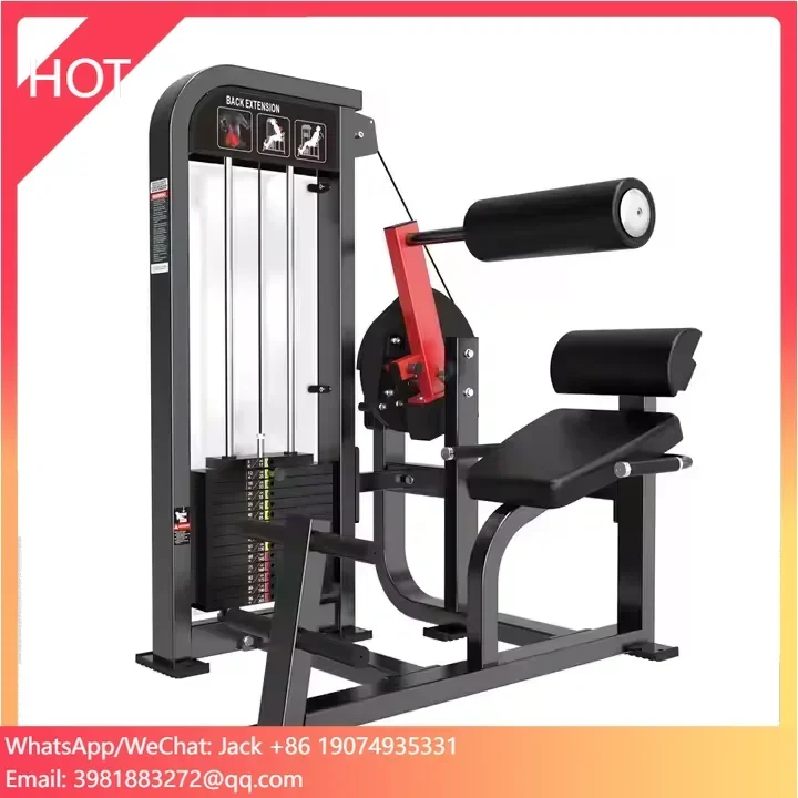 

Professional Commercial Fitness Gym Equipment Body Building Strength Machine Multi-Function Station Back Muscle Trainer