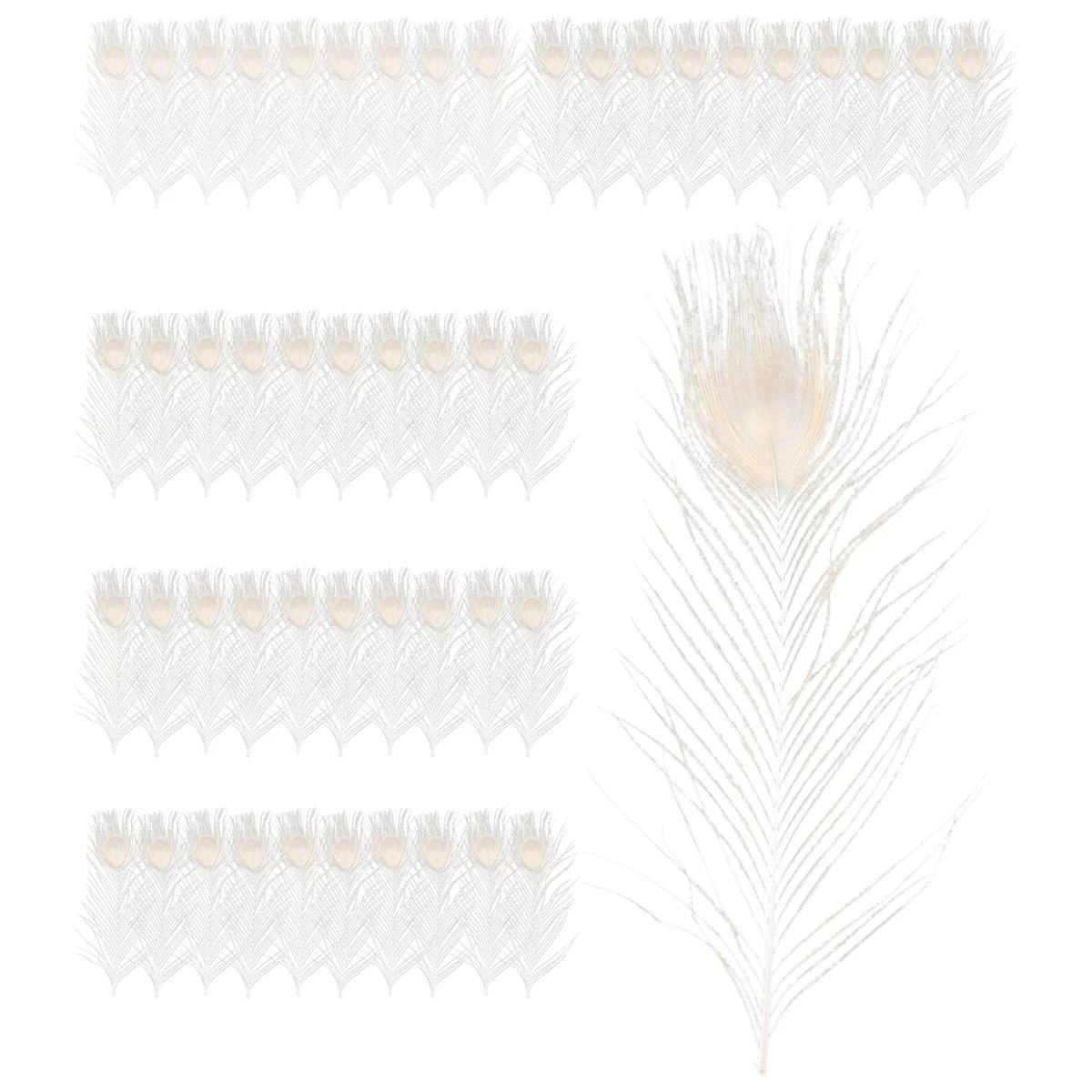 50 PCS/Natural White Feathers in the Eye, 10 to 12 Inches of the Wedding Decoration