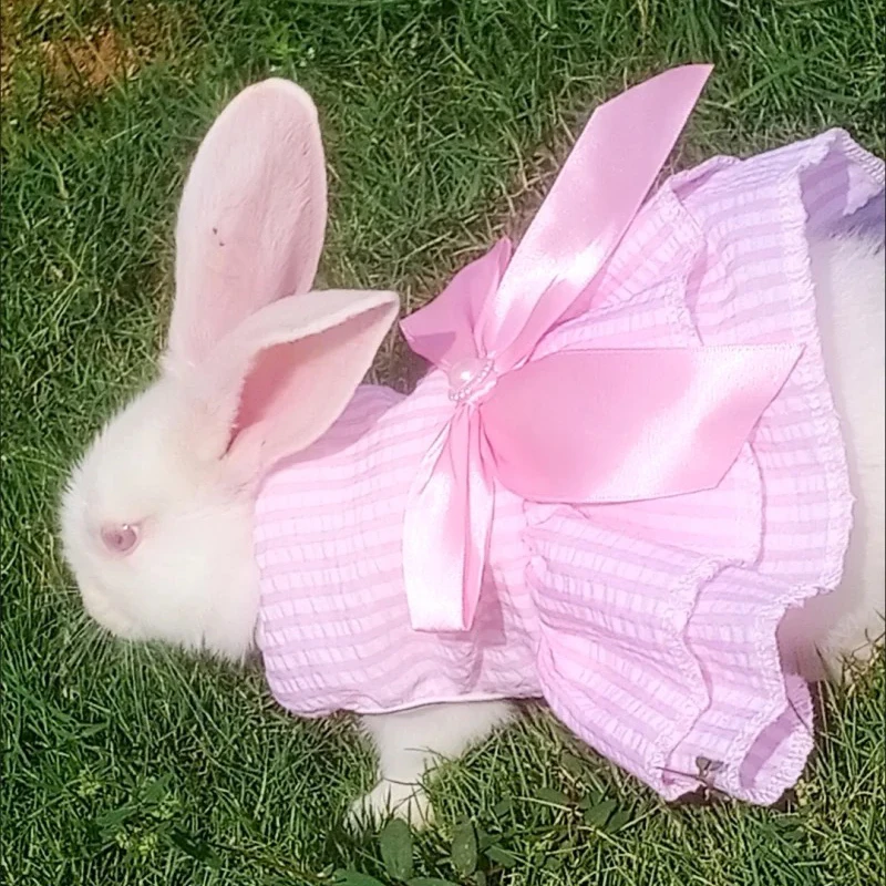 Sweet Bunny Rabbit Skirt Summer Pet Dress for Small Animals Stripe Plaid Puppy Dog Cat mascotas Clothes Clothing estidos perrita