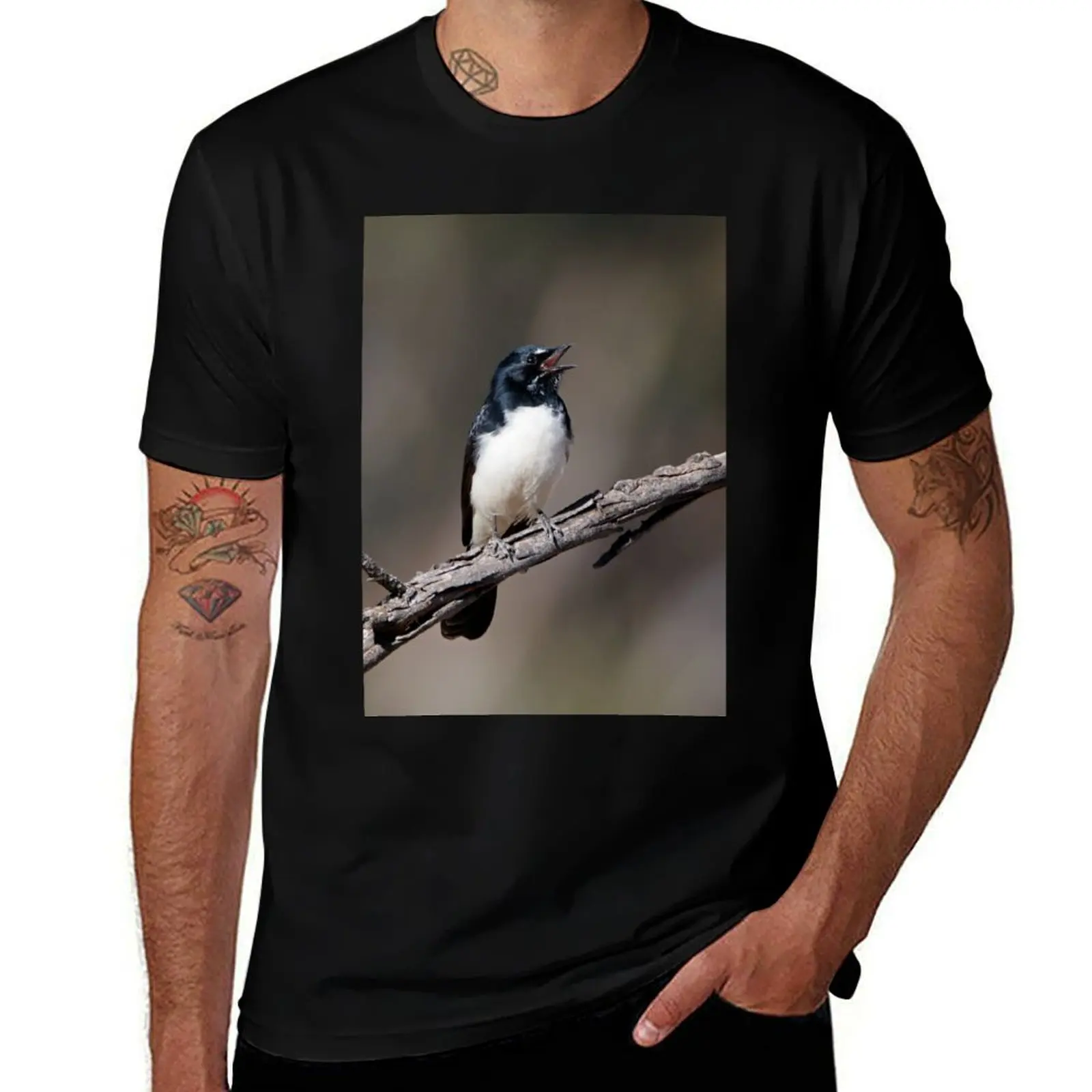 

Willie Wagtail T-Shirt anime t shirts for man black cotton t-shirt plain for man package T-Shirt