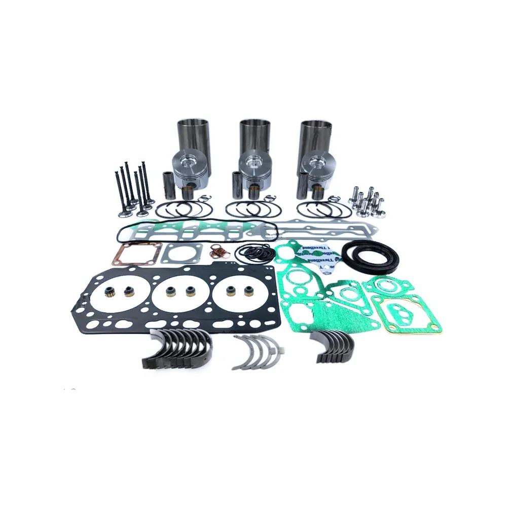 

D1005 Overhaul Rebuild Kit For Kubota Engine B2100DT BX2660 B2320HSD