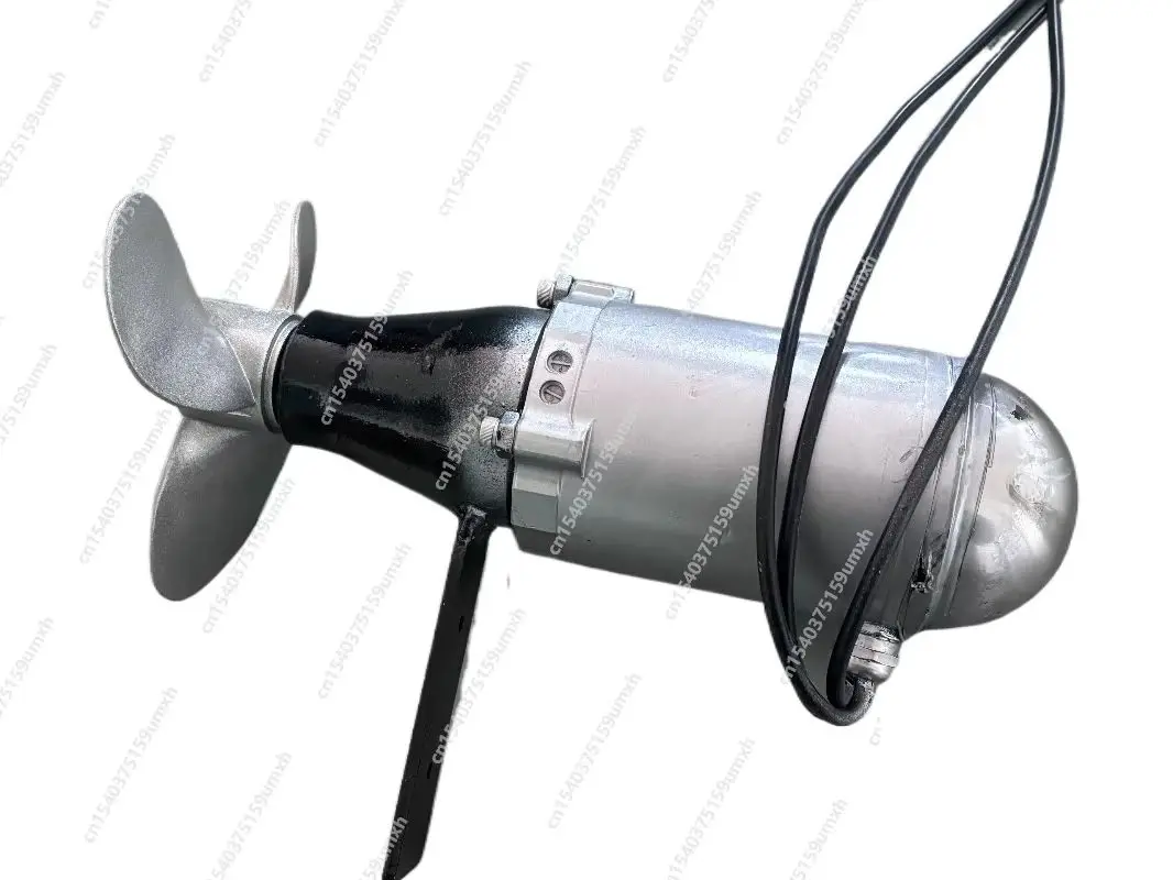 

12 В 24 В 48 В 2500 Вт бесщеточный подводный гребной винт электродвигатель рыбная лодка бесщеточный морской скутер индивидуальный двигатель