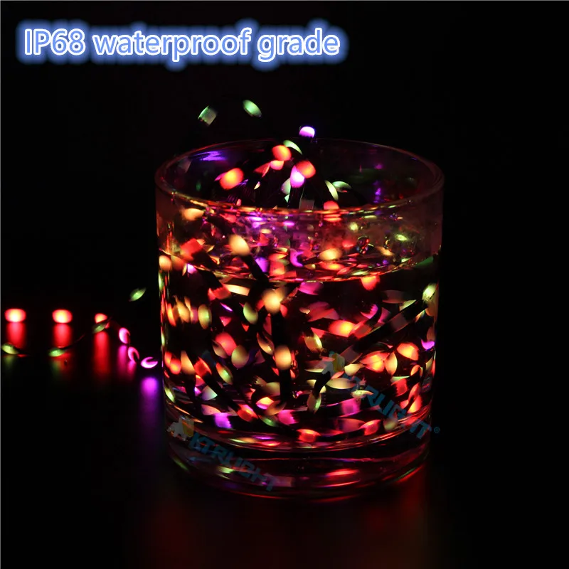 DC12V  3Pin black Wire 1000ct Pixels 1.5cm-10cm Pitch WS2811 LED Seed Pixel String Light RGB IC Addressable Full Color IP68