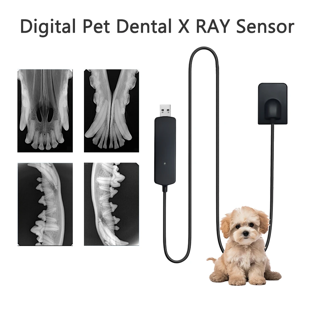 

JINGT 4.0 Pet Specific Min/Pro Digital Dental Sensor DR Lmaging System Portable HD Veterinary Specific Imaging System