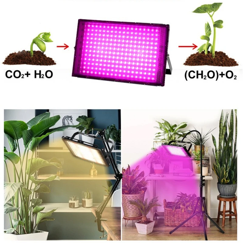 EU Plug 220V Pink Full Spectrum Phyto Lamp 50W 100W 200W 300W LED Grow Lights For Greenhouse Hydroponic Plant Growth Lighting