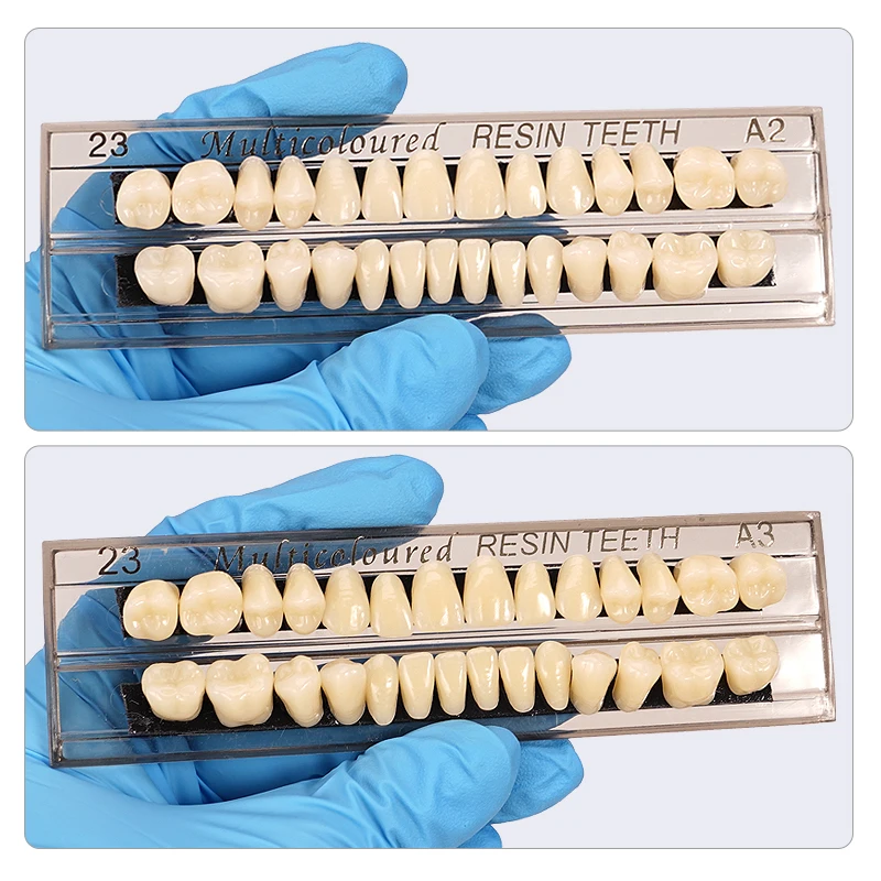 

28teeth Resin Denture Teeth Comparator Mirror Dentistry Bleaching Dental Plate Permanent Teeth Model Teaching Model
