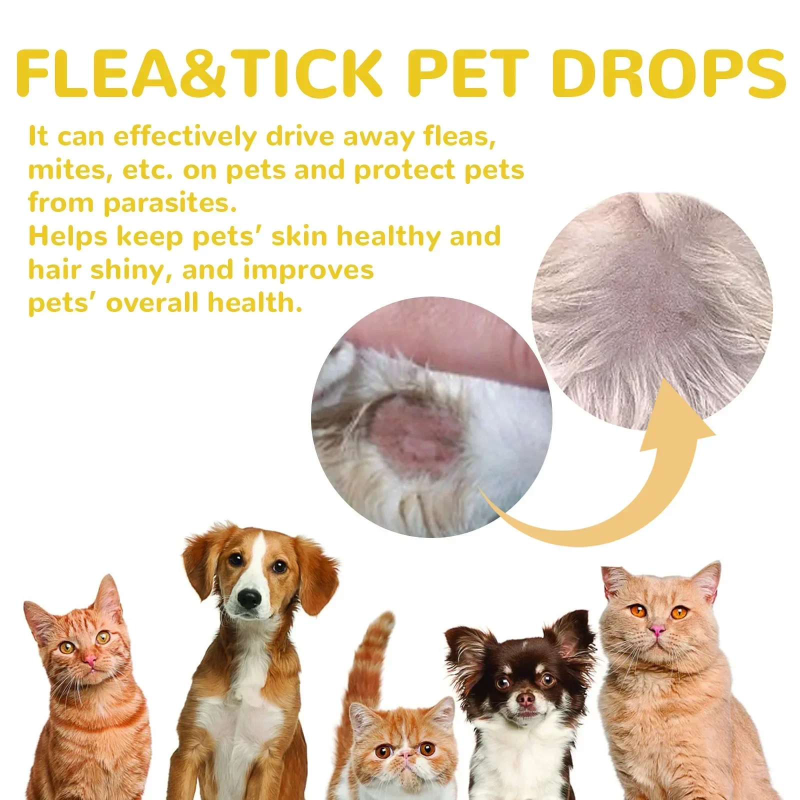 Pet Fleas Drop Effective Remove Parasites Dogs Fleas Cleansing Care Supplies