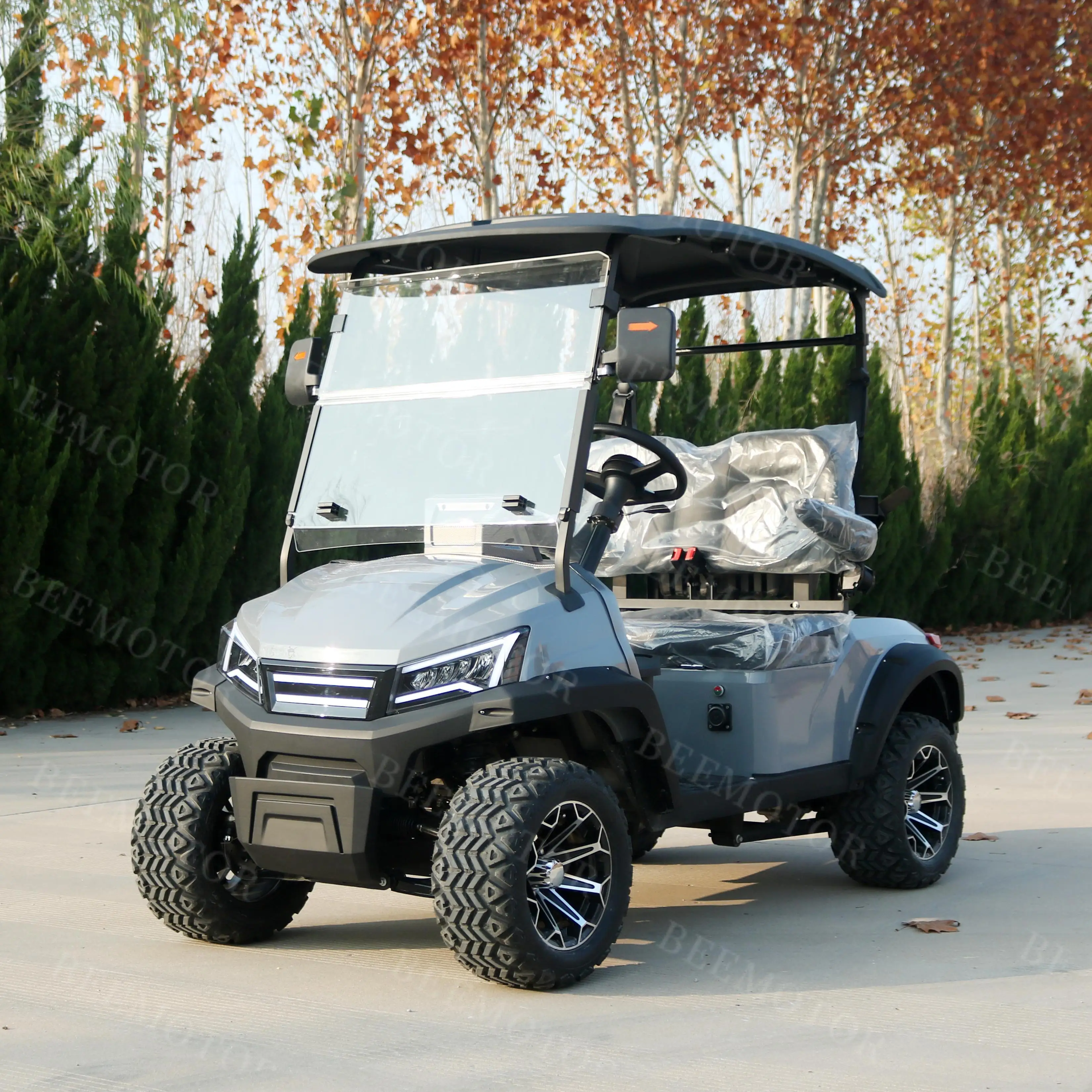 

New 2-Seater Sightseeing Bus Safari Club Golf Cart Electric Golf Cart