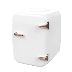 حار Sales4l المحمولة رائجة البيع الوردي لطيف 12 فولت 100 فولت 240 فولت سيارة والمنزل استخدام علب الثلاجة الصغيرة مستحضرات التجميل ثلاجة صغيرة