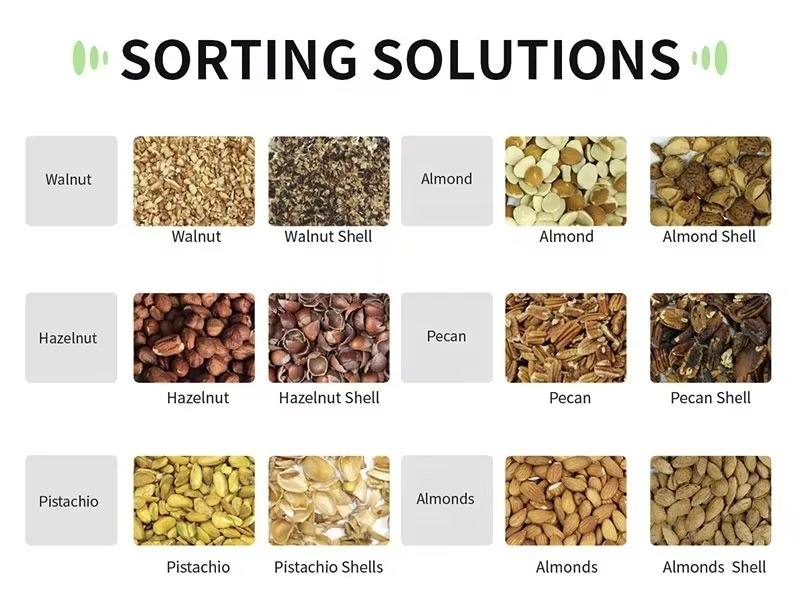Customize Chute Shape & Color Sorter with AI Technology for Precision Nut Sorting (Almonds Walnuts Cashews) 99.99% Accuracy