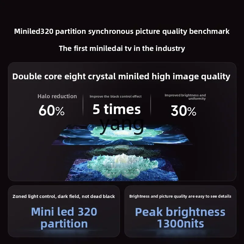 LH 75 inch TV large screen 4K TV high performance high image quality