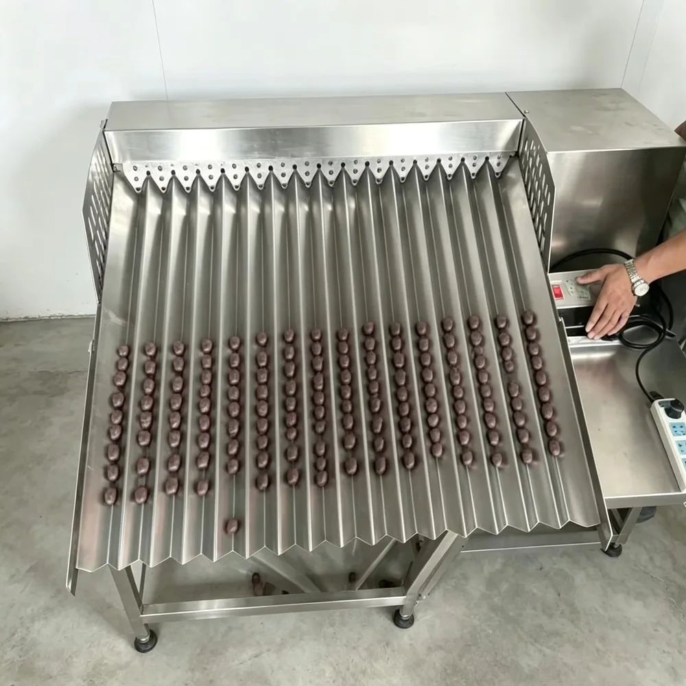 DSW Track Vibrating Conveyor Stainless Steel 304 High Grading Accuracy Enhance Production Efficiency Industrial