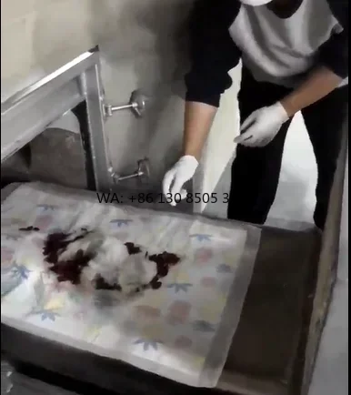 2025 Efficient Animal Carcass Disposal Cremator for Farms and Pets