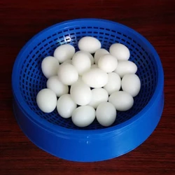 5Pcs Artificial Bird Eggs Solid Parrot Plastic Eggs Parakeet False Hatching Eggs for Parrotlet Diamond for Dove