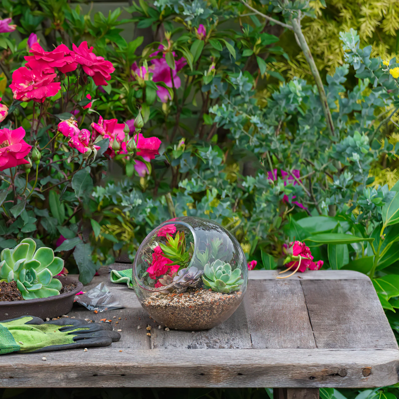 

3Pcs Hydroponic Glass Terrarium Vases Round Air Plant Planters Decorative Containers for Home Office Desk Garden