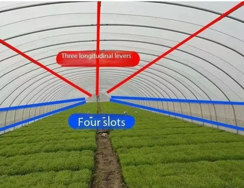 الدفيئة الزراعية ذات الأنبوب الدائري لزراعة هيكل الدفيئة المتين ومتعدد الاستخدامات #6