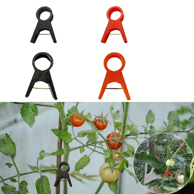 

Plant Clips Adjusting Reusable Garden Plant Supports Clips For Supporting Stems Of Flower Vine Vegetables Climbing