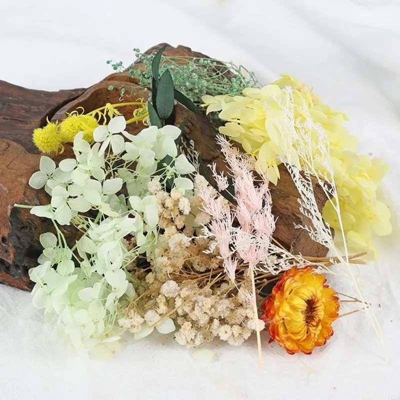 F62D delicate gedroogde bloemen materiaal natuurlijke handwerk bruiloft ornament 10colors
