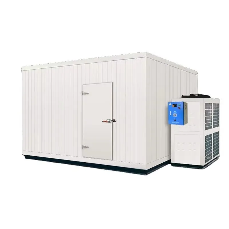 Customized Walk-in Refrigeration System for Cold Storage Preservation Commercial Cold Storage