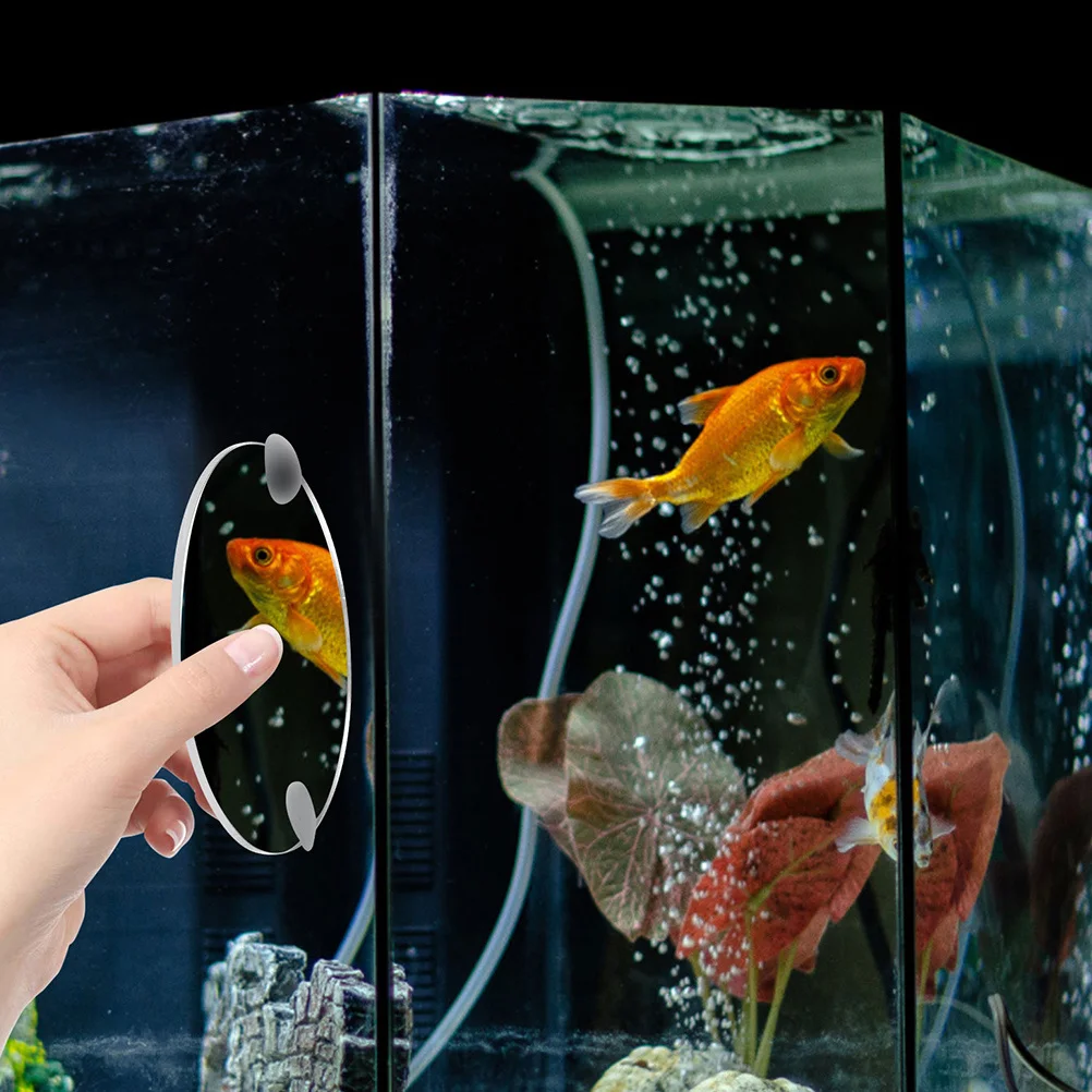 

Acrylic Betta Mirror Single Side Fish Tank Suction Cup Decoration Aquarium Mirror for Betta Training and Display