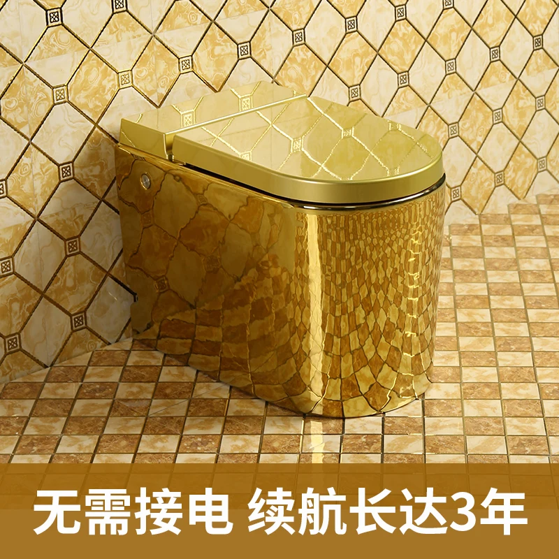 Golden Pulse Toilet Local Gold Creative Personality Waterless Toilet Hotel Toilet