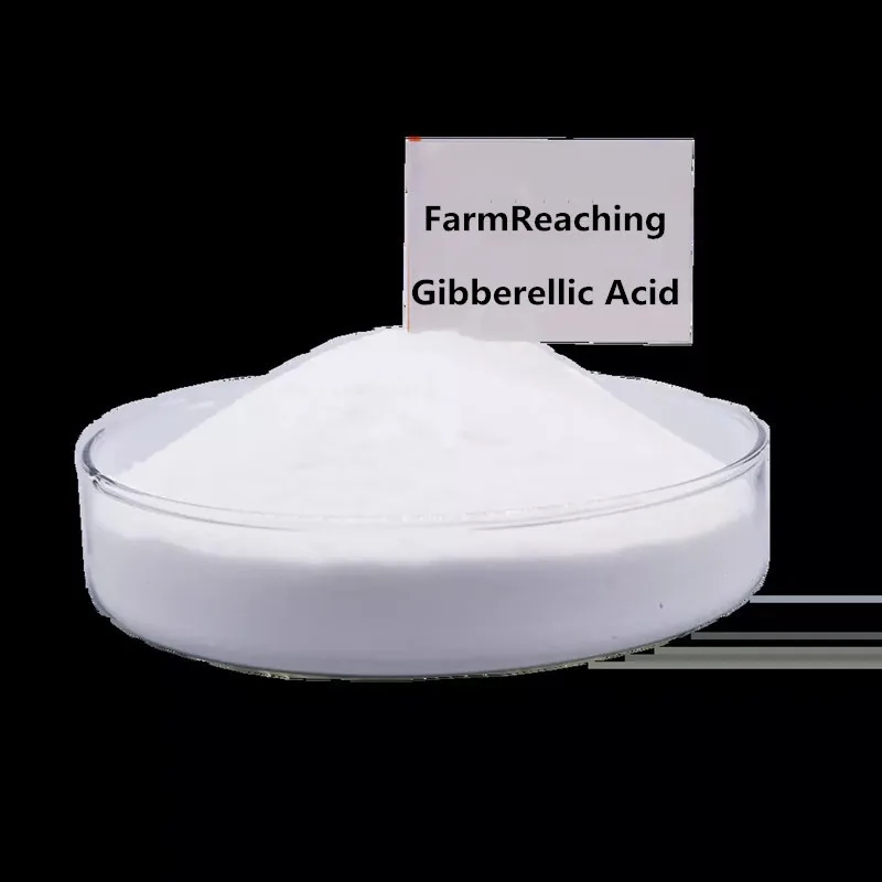 Hot PGR Super Plant Grow Fertilizer Gibberellic Gibberellin Acid GA3 90% For Sale