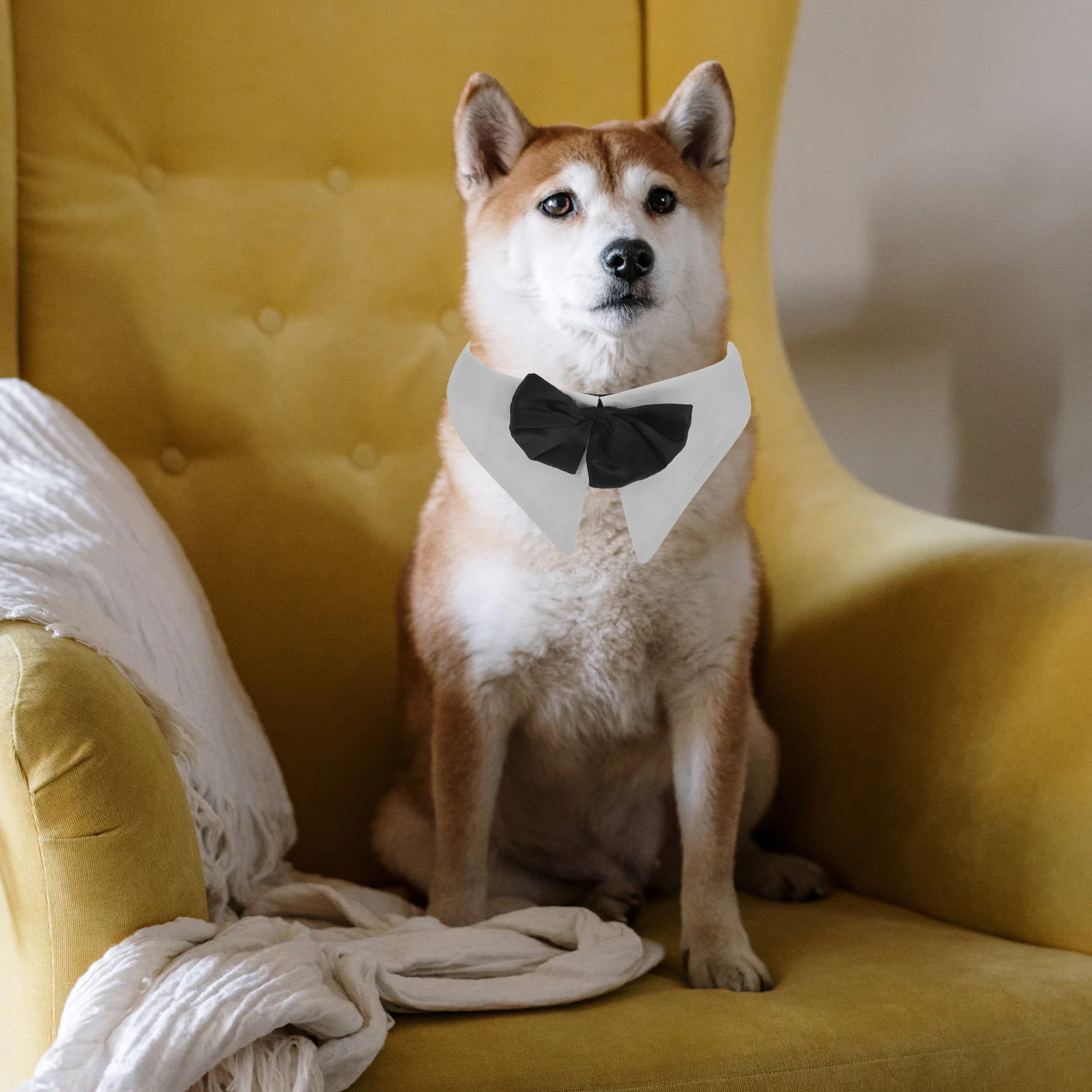 

Safe Lightweight Adjustable Cat Collar Bowknot Pet Neckwear Practical Durable Easy Onoff for Small Cats Kittens Parties Lm