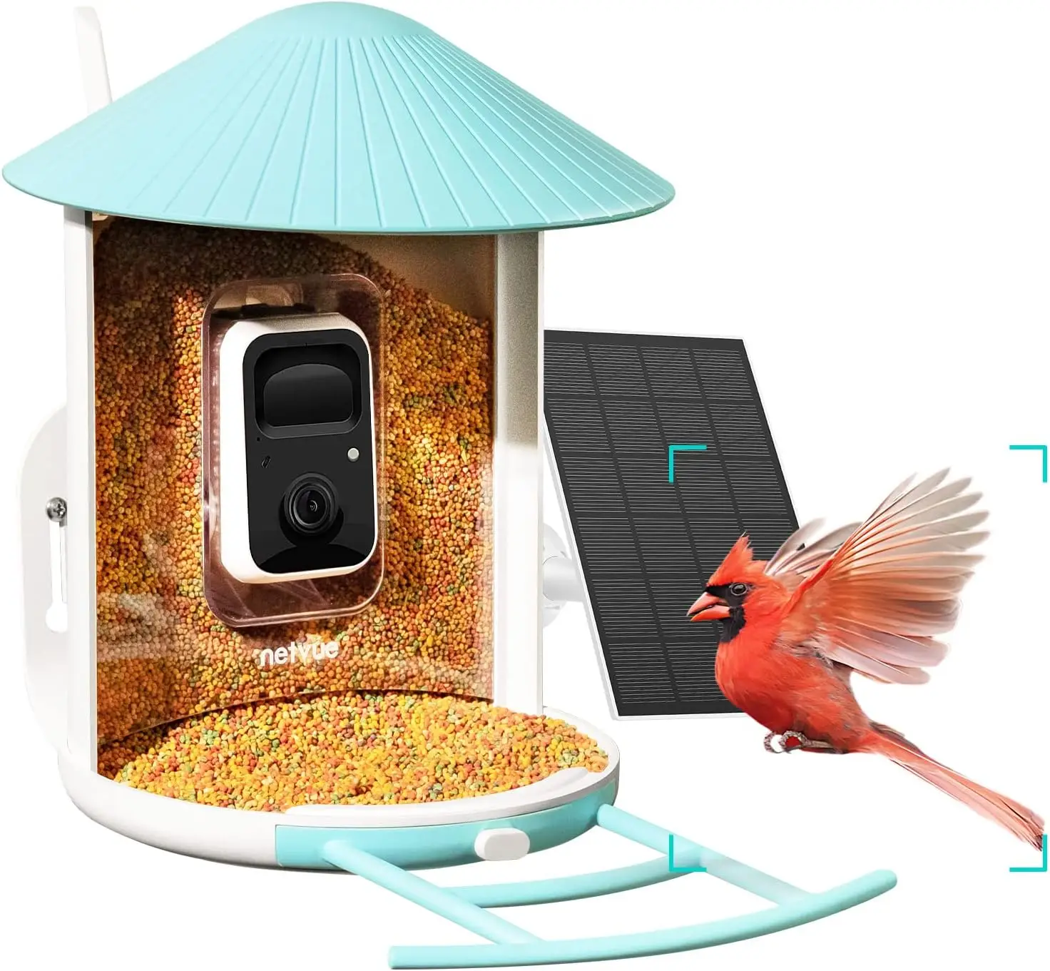 

NETVUE Birdfy® Smart Bird Feeder with Camera, Bird Watching Camera, Auto Capture Bird Videos