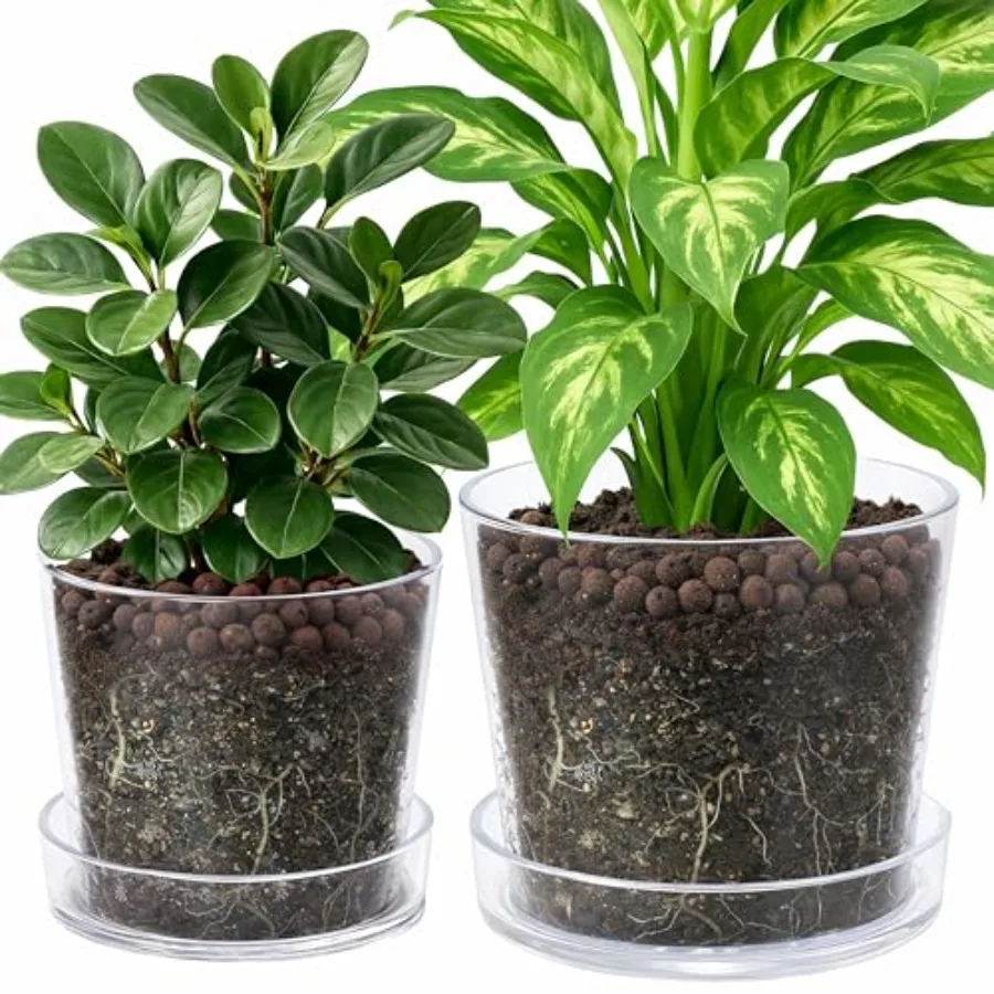 Indoor houseplants planter pot: clear acrylic, 8/10 inch, transparent, deep saucer for bottom watering, drainage holes, orchid
