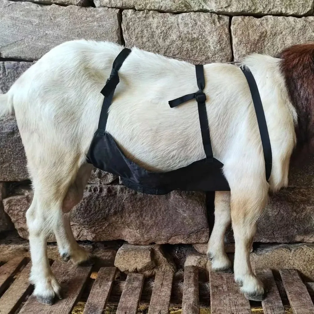 

Adjustable Strap Livestock Anti Breeding Apron Breathable Wear Resistant Anti Mating Apron Animal Skirt Breeding Control Apron