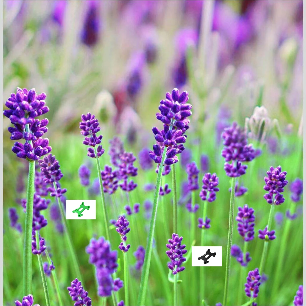 

GPM Aluminum Front Shock Tower for LOSI 1/10 Lasernut Tenacity Ultra 4 Tenacity DB pro - Upgrade Part LOS234035