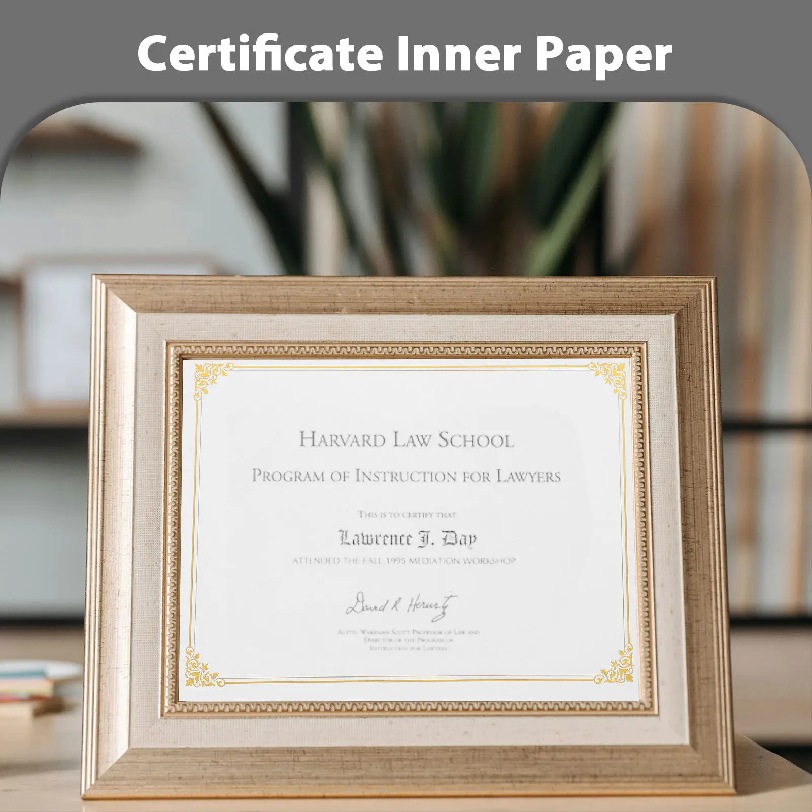 

10Pcs A4 Blank Hot Stamped Certificate Paper Printable Diploma Paper for Graduation Awards Certificate Papers Diploma Papers
