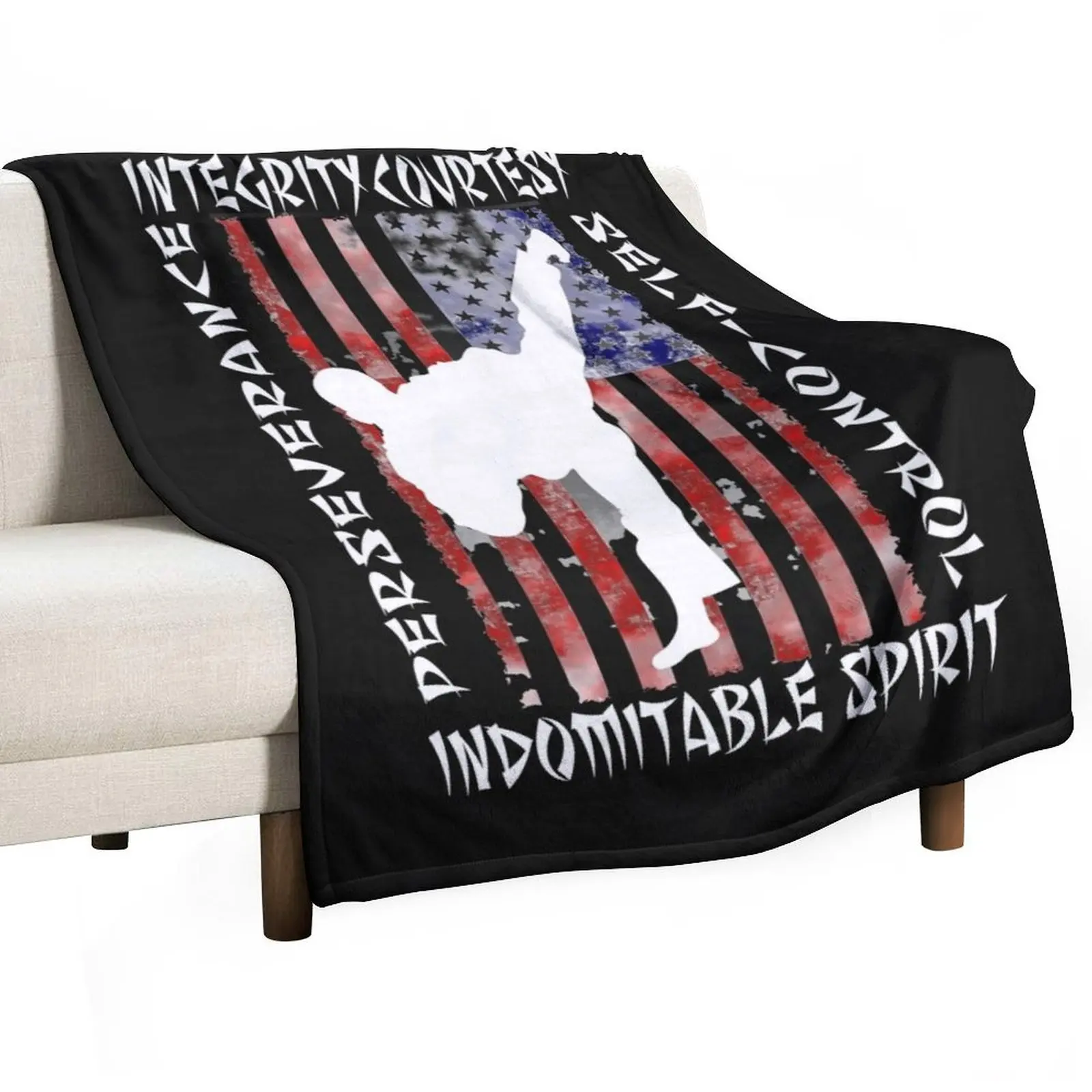 American Martial Arts 5 Tenates of Taekwondo Throw Blanket Winter beds Baby Blankets