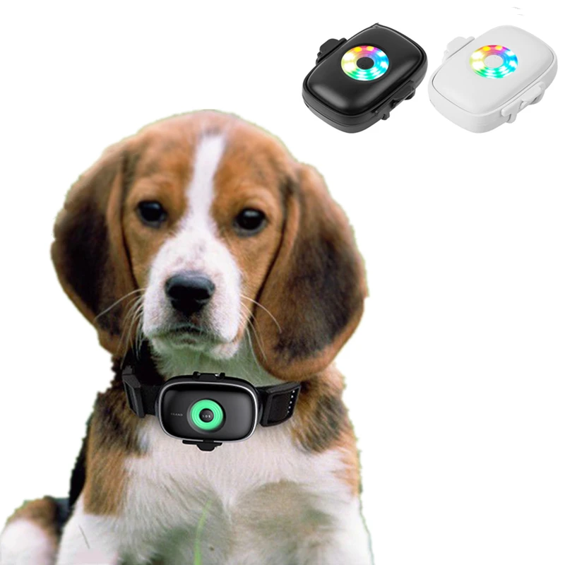 

Smart Pet Collar Dog Locator Pet Collar GPS Anti-Lost Artifact Cat Positioning Small Tracker