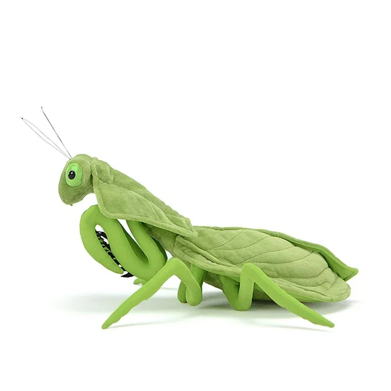 Cute Leaf Mantis Deroplatys Plush Toy para Crianças, Simulação Real, Parrotpharis, Soft Doll, Lifelike, Stuffed Animal Model, Presente