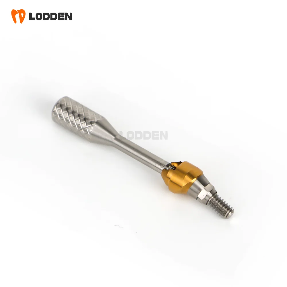 5PCS Lodden Dentium Compatible Titanium Dental Abutment Multi-Unit Straight 0°/15°/30°for Full Arch Restoration Custom Abutments