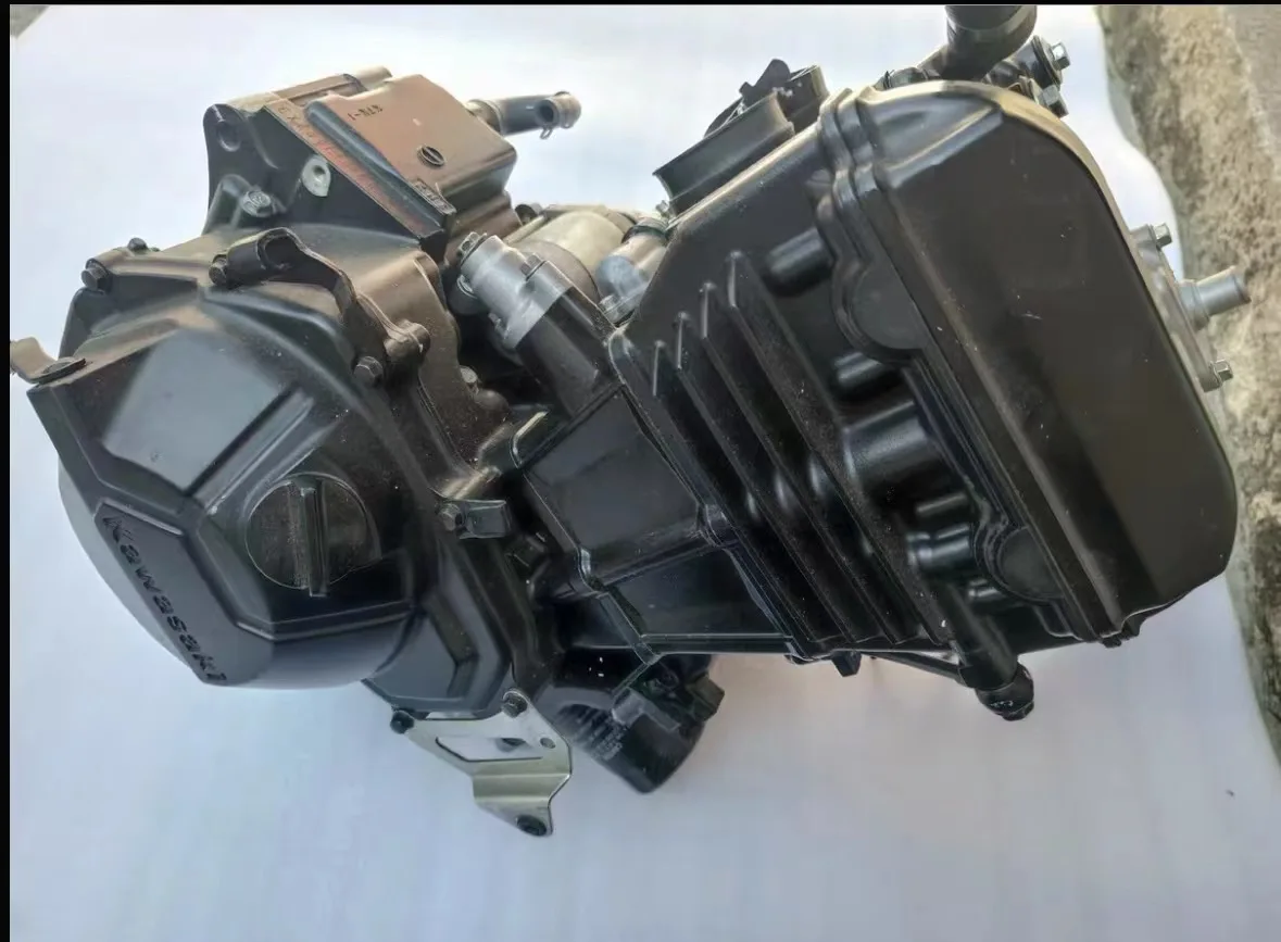 Kawasaki ninja 300 Engine