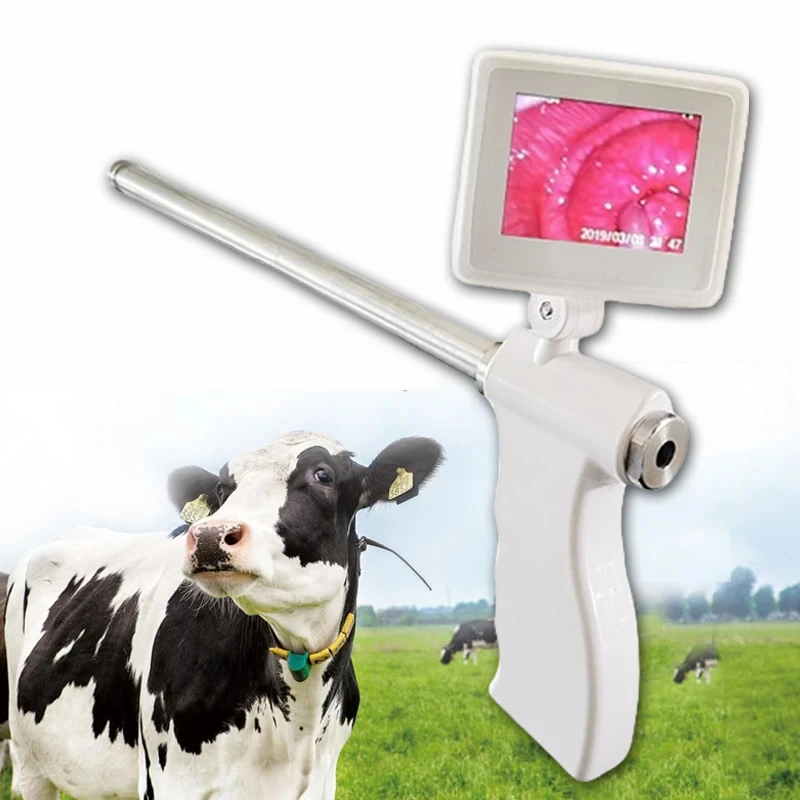 

Artificial Insemination Device, Cattle/Horse/Pig/Sheep Visual Insemination, Animal AI, Farm Veterinary Breeding Kit